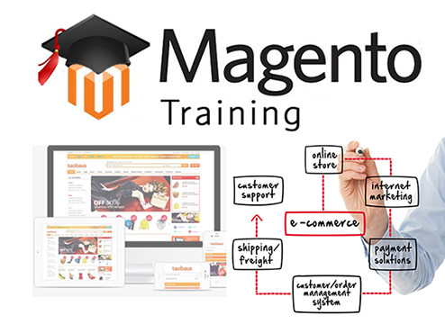 Magento-Training4-494x360